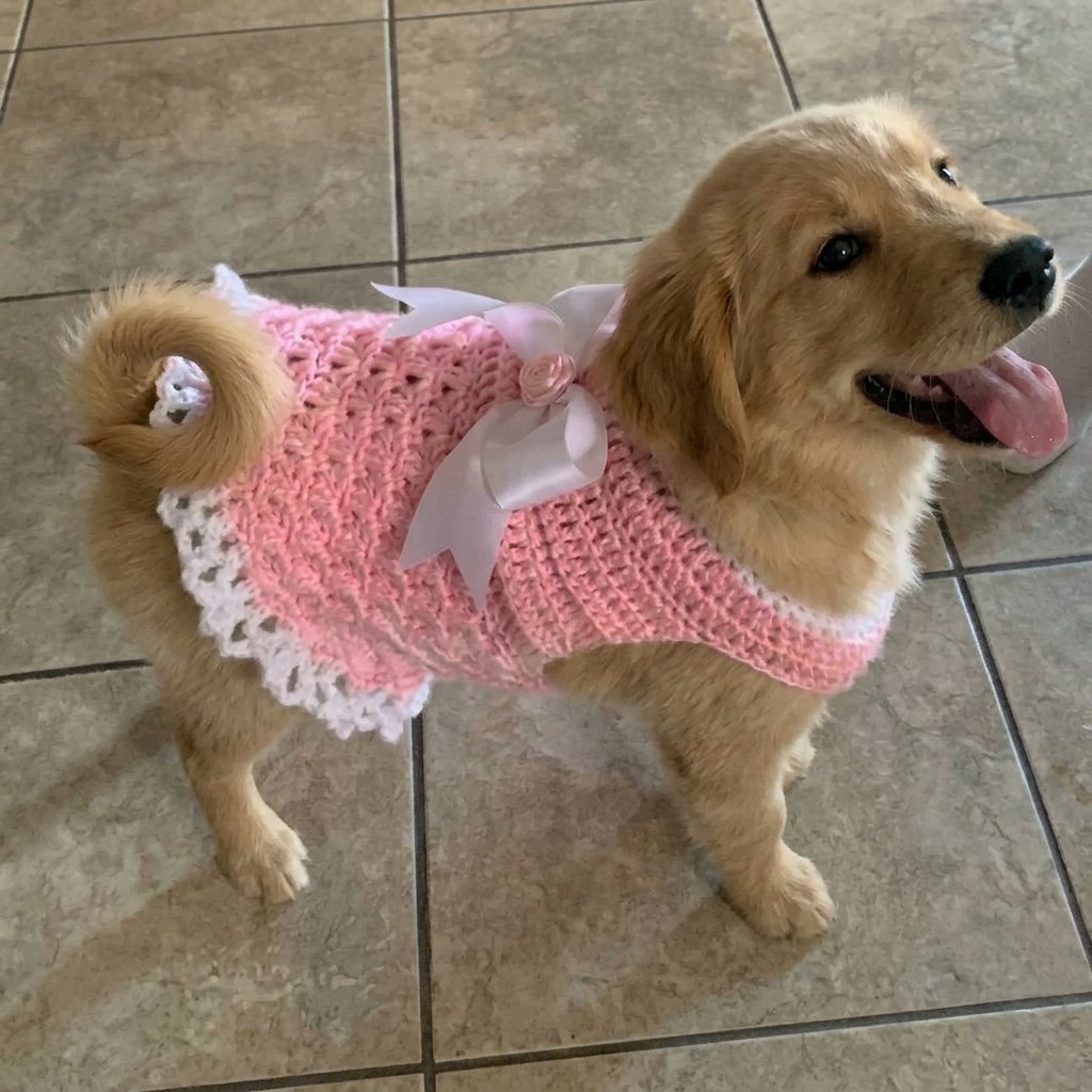 Crochet easy dog sweater dress